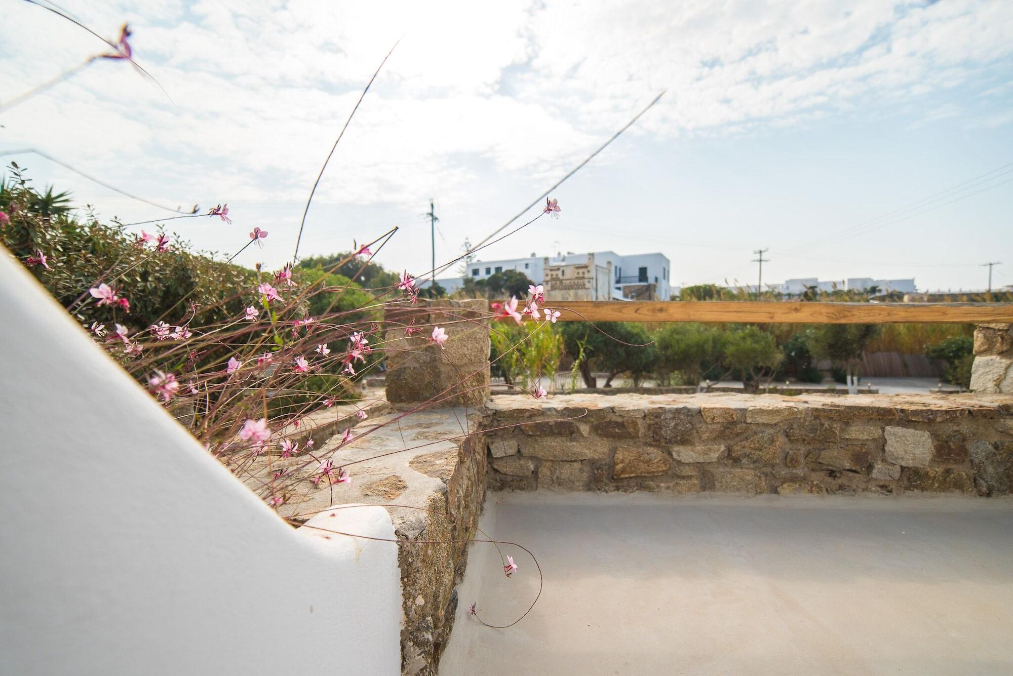 Vienoula'S Garden Hotel Mykonos Town Exterior photo