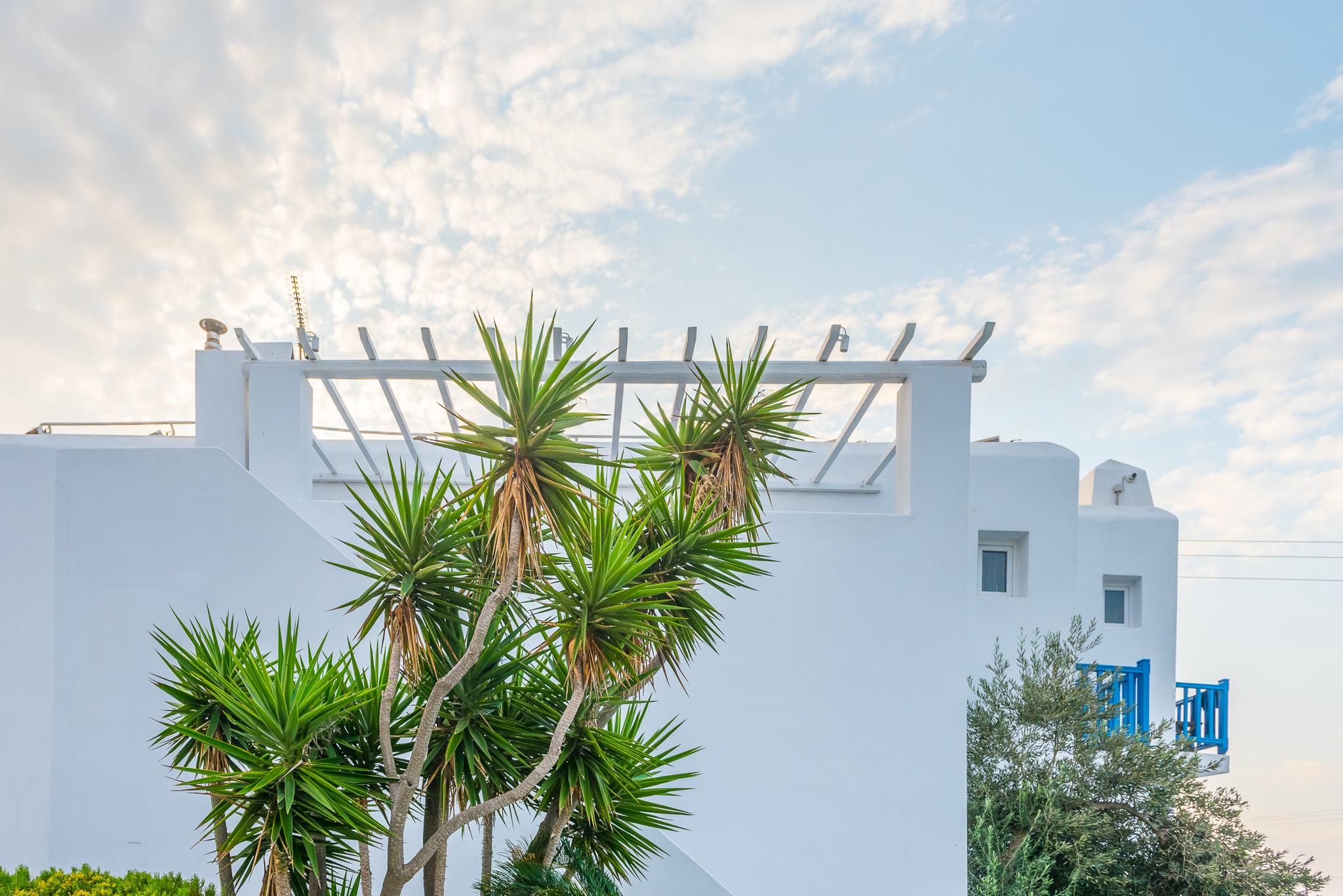 Vienoula'S Garden Hotel Mykonos Town Exterior photo