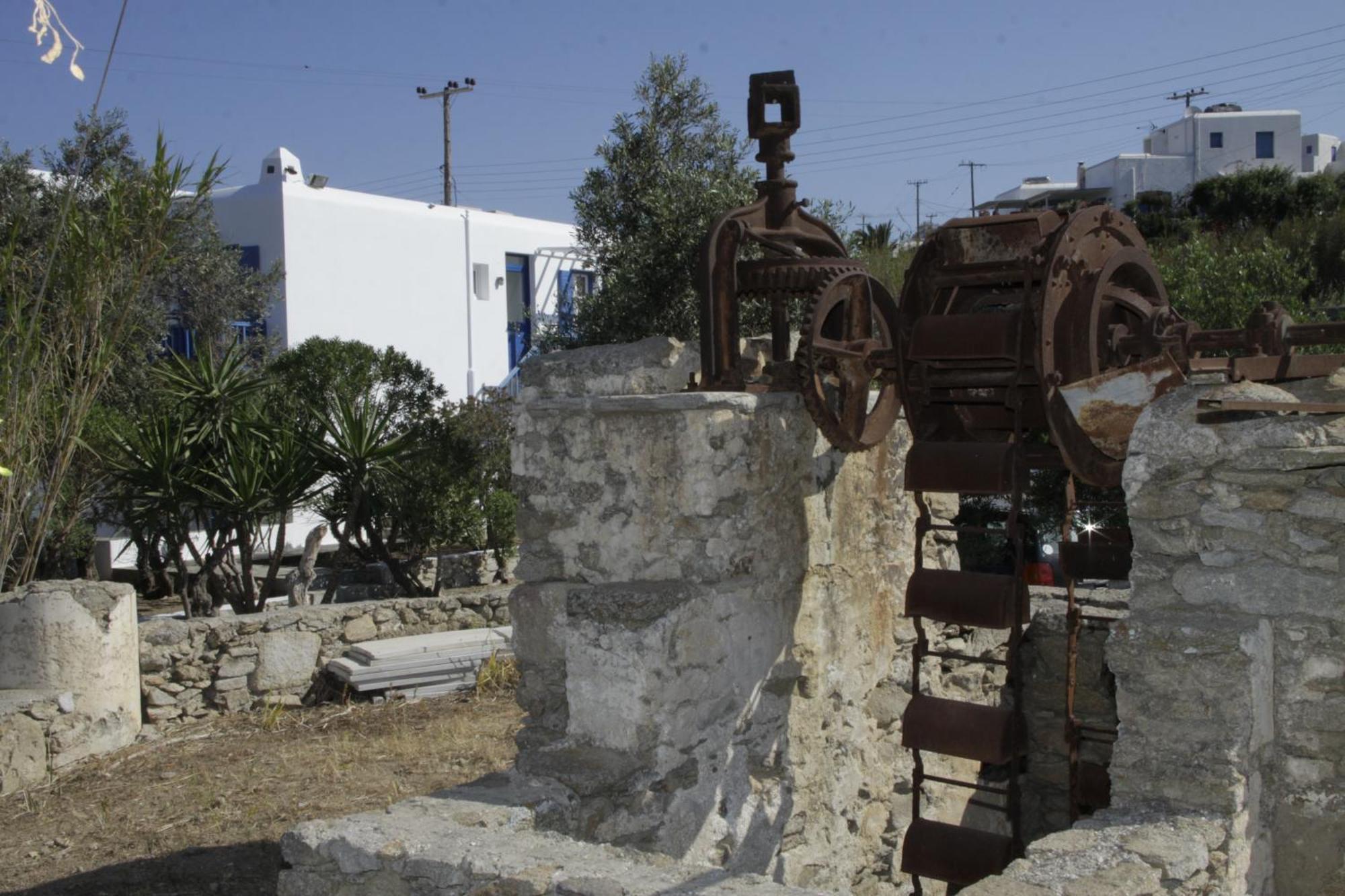 Vienoula'S Garden Hotel Mykonos Town Exterior photo