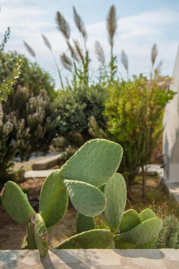 Vienoula'S Garden Hotel Mykonos Town Exterior photo